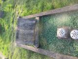 image of grave number 564586
